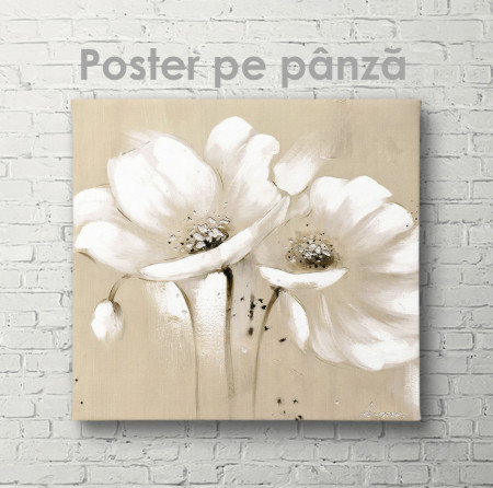 Poster, Floare albă pe fundal bej