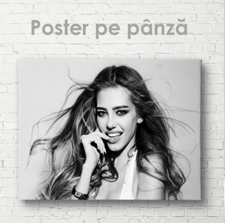 Poster, Model