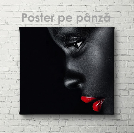 Poster, Profilul unei domnișoare negre 3