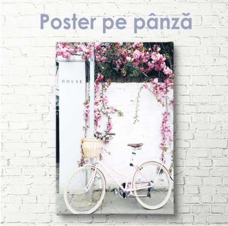 Poster, Colțișorul roz