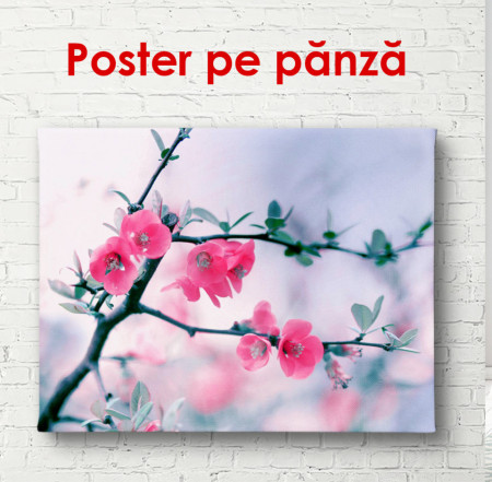 Poster, Crenguța cu flori roz pe un fond albastru