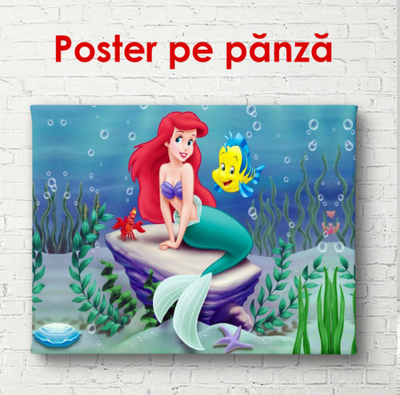 Poster, Sirena mică pe piatră