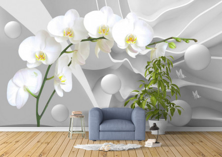 Fototapet 3D, O orhidee albă pe un fundal alb 3D