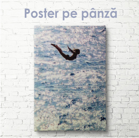 Poster, Fată sare în apă