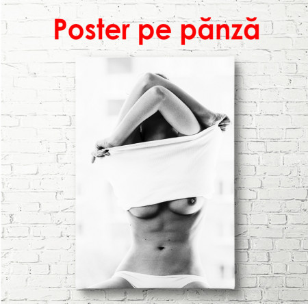 Poster, Model care pozează