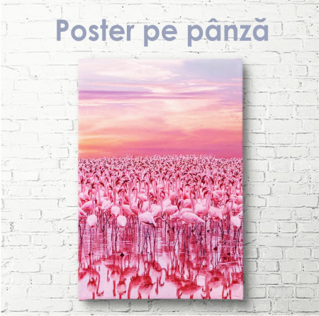 Poster, Stol de flamingo roz