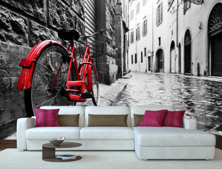 Fototapet, Peisajul alb-negru cu o bicicletă roșie