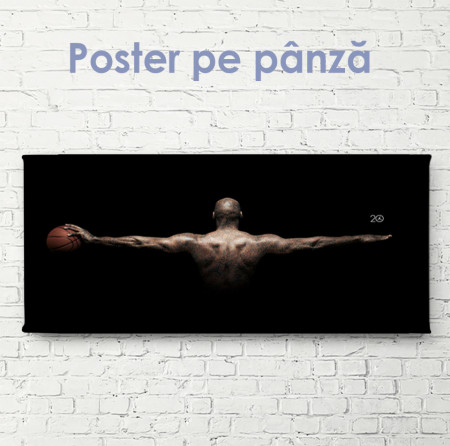 Poster, Aripile jucătorului de baschet