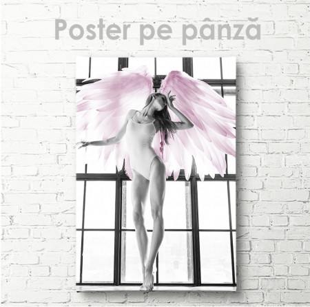 Poster, Aripile roz