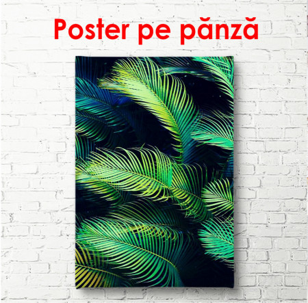 Poster, Frunze de palmier pe un fundal întunecat