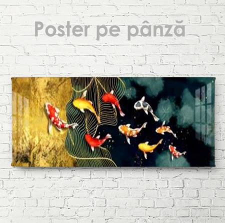 Poster, Pești colorați