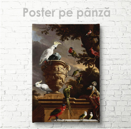 Постер, Papagali