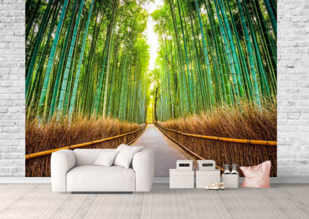 Fototapet, Pădurea de bambus