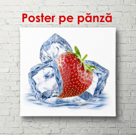 Poster, Căpșuni și cuburi de gheață pe un fundal alb