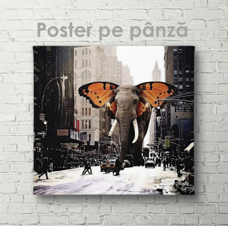 Poster, Elefantul din poveste