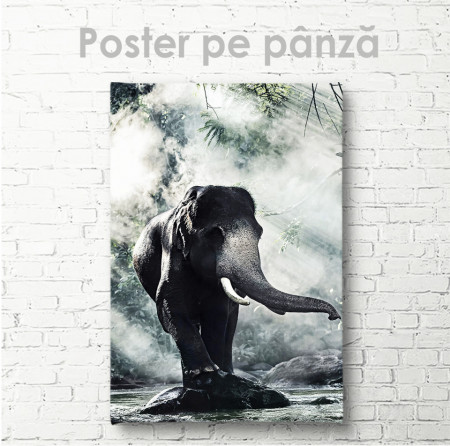 Poster, Elefant