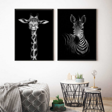 Poster, Girafa si zebra