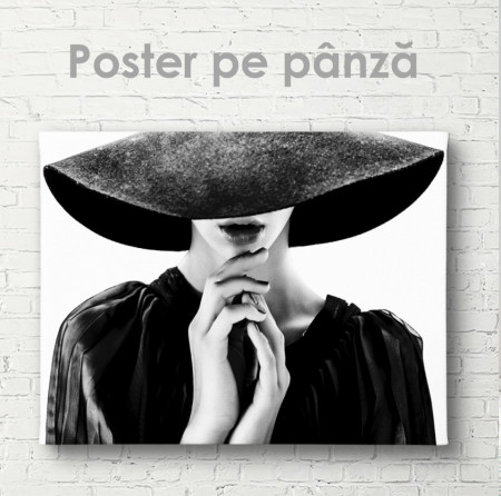 Poster, Pălăria