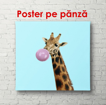 Poster, Girafă pe un fundal albastru