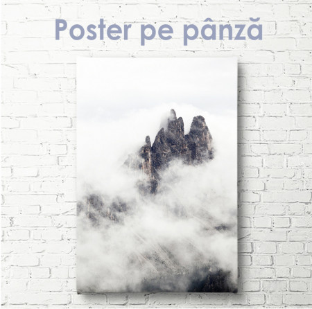 Poster, Stânci prin ceață