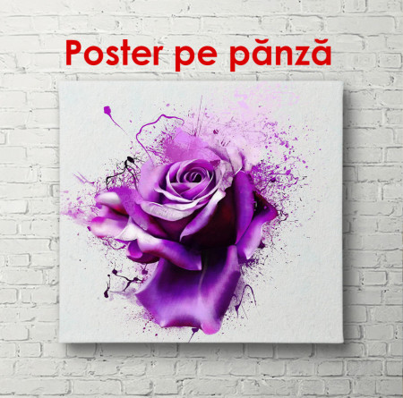 Poster, Trandafiri violeți delicați