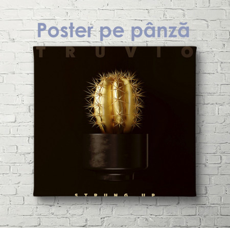Poster, Cactus auriu