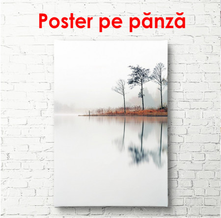 Poster, Lacul într-un parc pe ceață