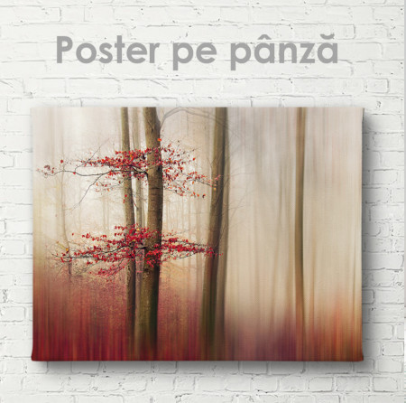 Poster, Pădurea roșie