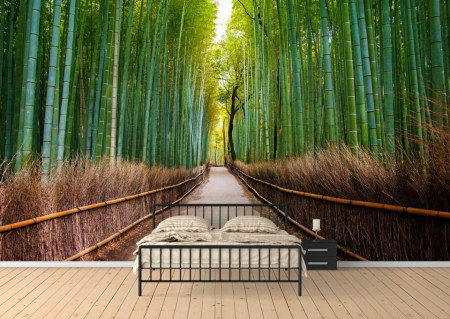 Fototapet, Cărare într-o pădure de bambus