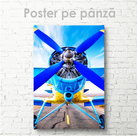 Poster, Avion de epocă