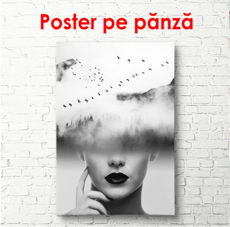 Poster, Fata alb-negru în nori