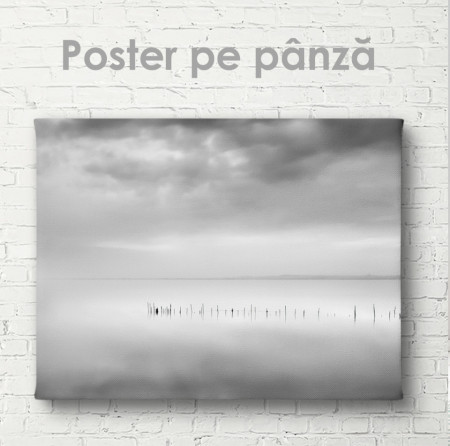 Poster, Peisajul lacului gri
