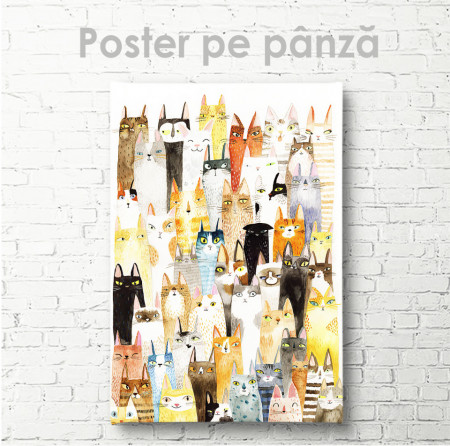 Poster, Pisicile