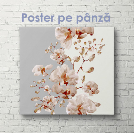 Poster, Ramură de orhidee roz pe fundal alb gri
