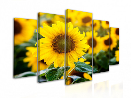 Tablou modular, Flori de floarea-soarelui