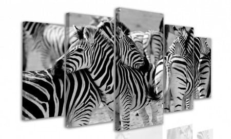 Tablou modular, Zebra