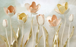 Fototapet, Flori delicate de lalele