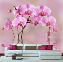 Fototapet, O orhidee frumoasă roz
