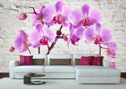 Fototapet, Orhidee roz pe un fundal de cărămizi de culoare albă