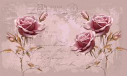 Fototapet, Trandafiri roz