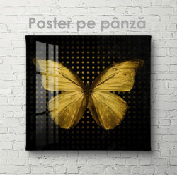 Poster, Золотая бабочка