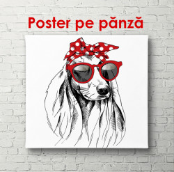 Poster, Câinele cu ochelari