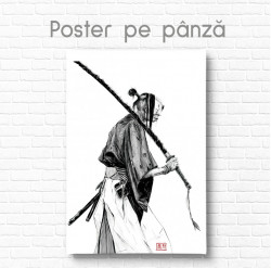 Poster, Caricatură în stil chinezesc