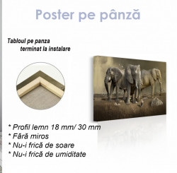 Poster, Elefanți uriași