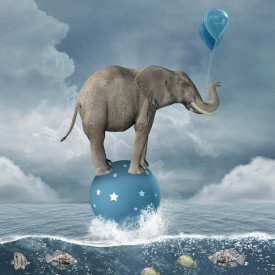 Poster, Elefantul pe o minge albastră