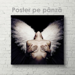 Poster, Fata cu aripi albe
