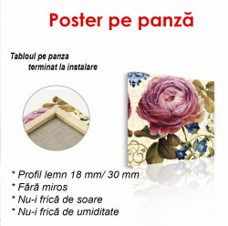 Poster, Floare roz de primăvară