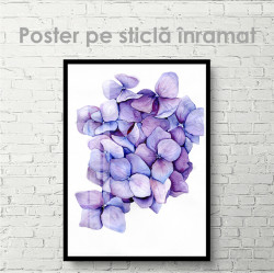 Poster, Flori violete