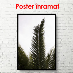 Poster, Frunză de palmier