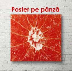 Poster, Grapefruit roșu